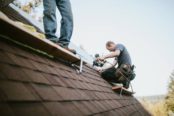 Best Roof Gutter Cleaning  in West Carrollton, OH